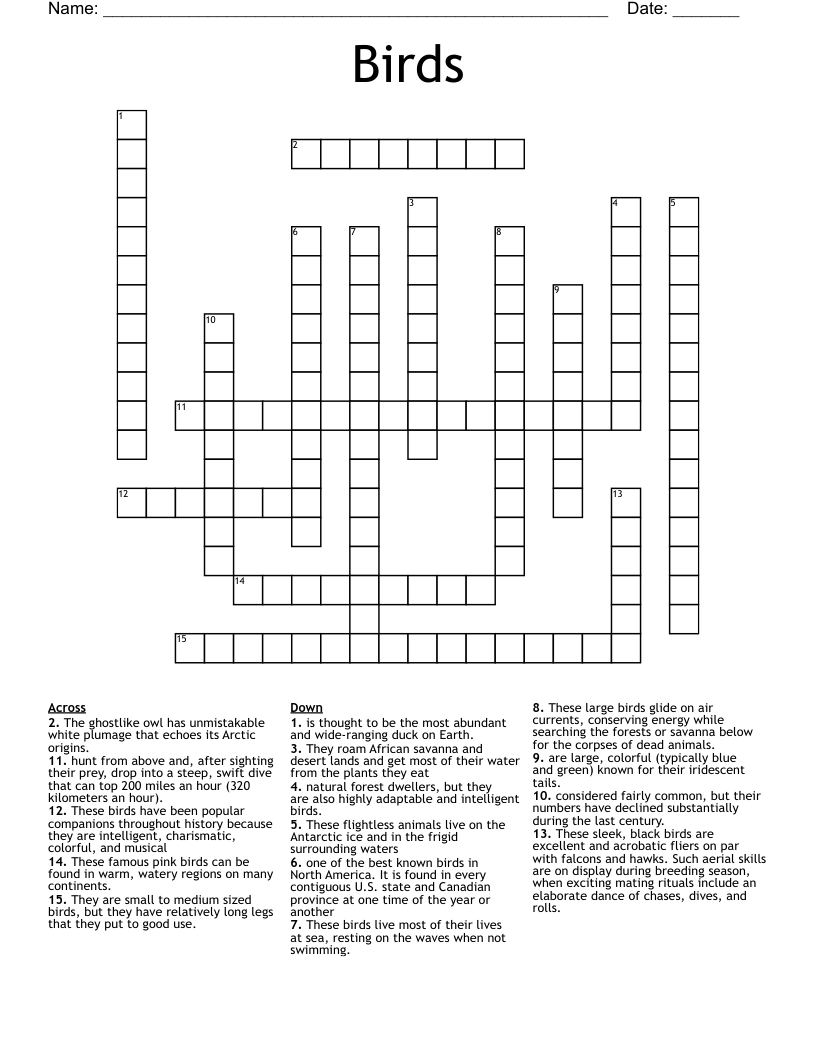 dead duck 5 5 crossword clue