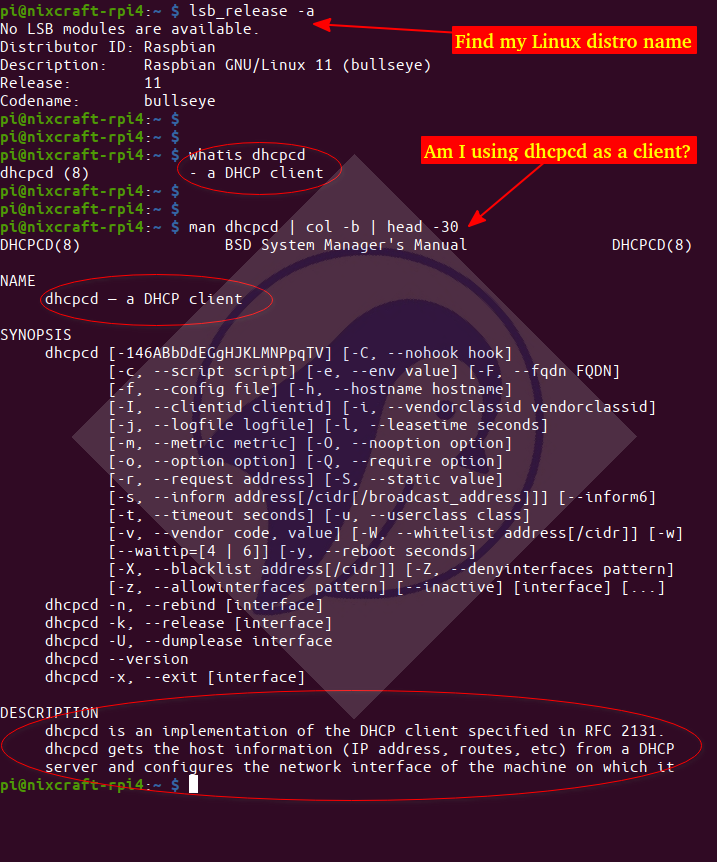 debian renew dhcp lease