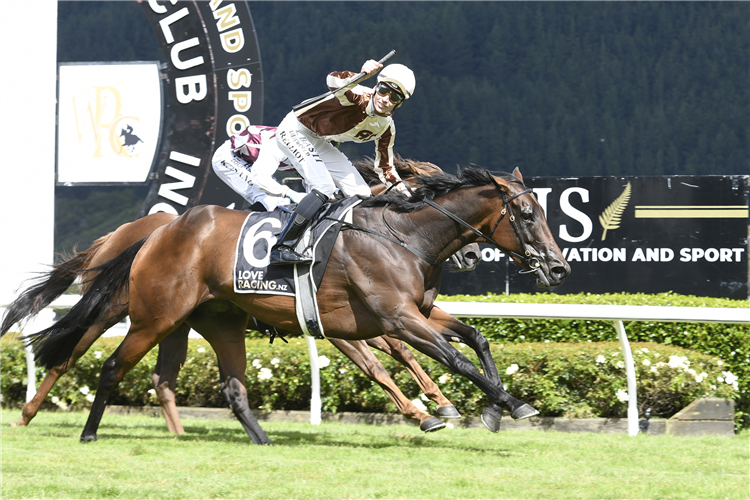 the telegraph horse race