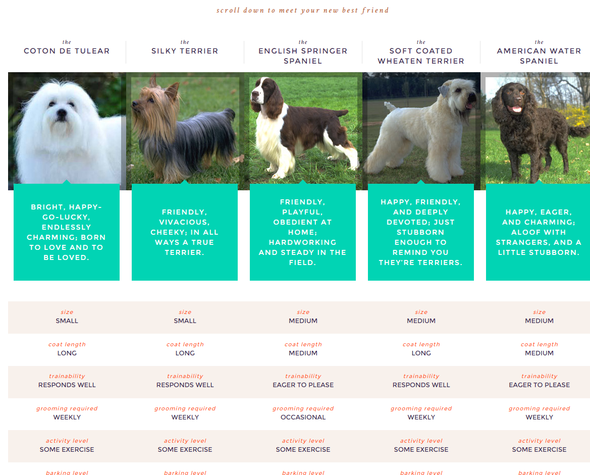 dog breed selector quiz