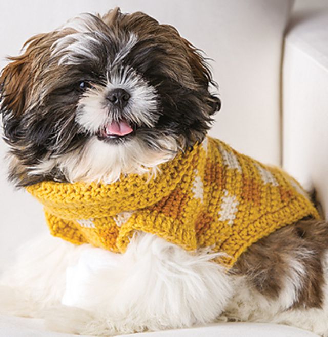 dog coat crochet pattern free