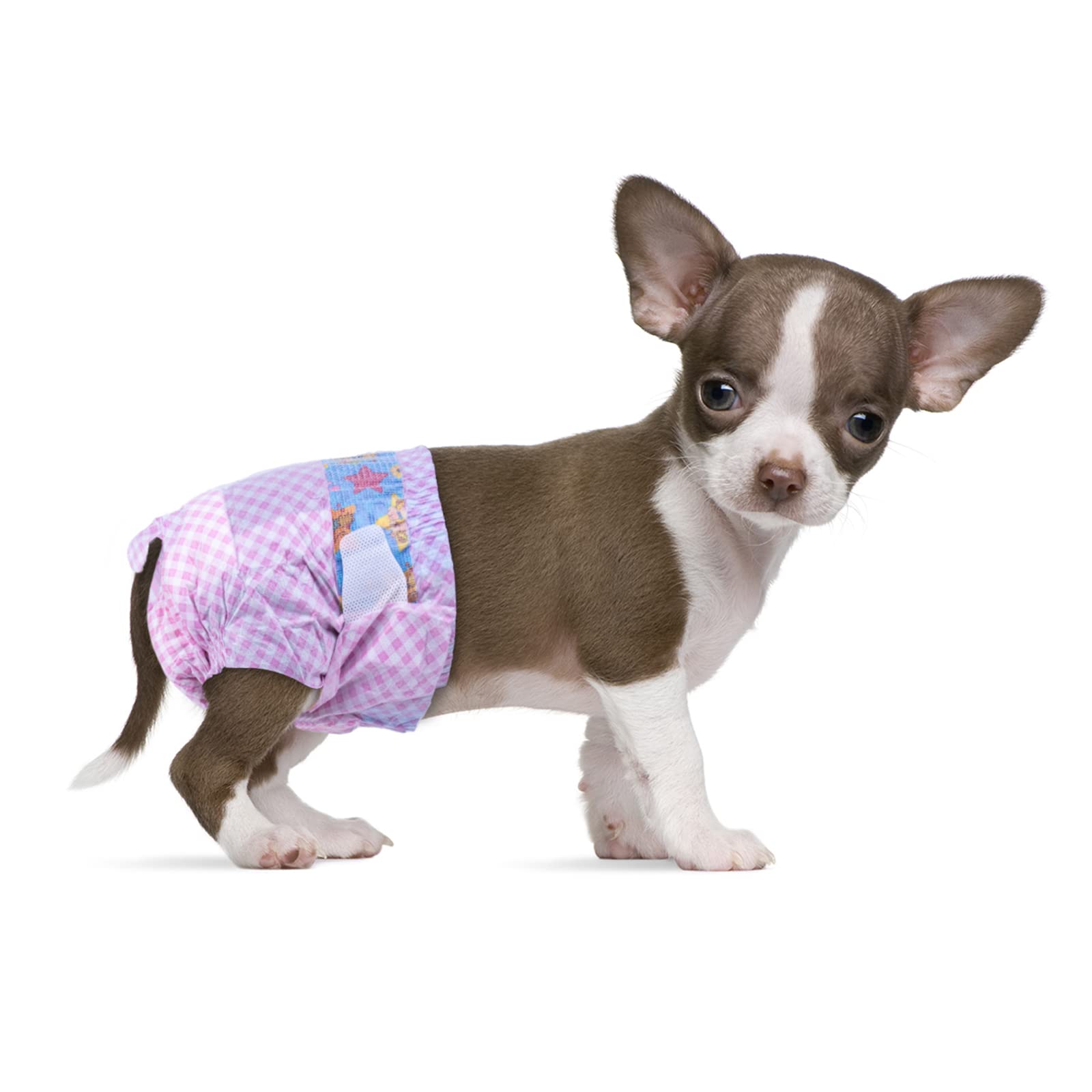 dog diapers for female dogs