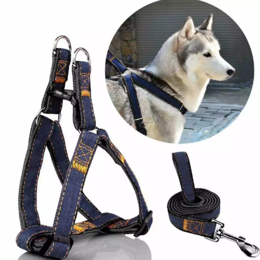 dog rope belt