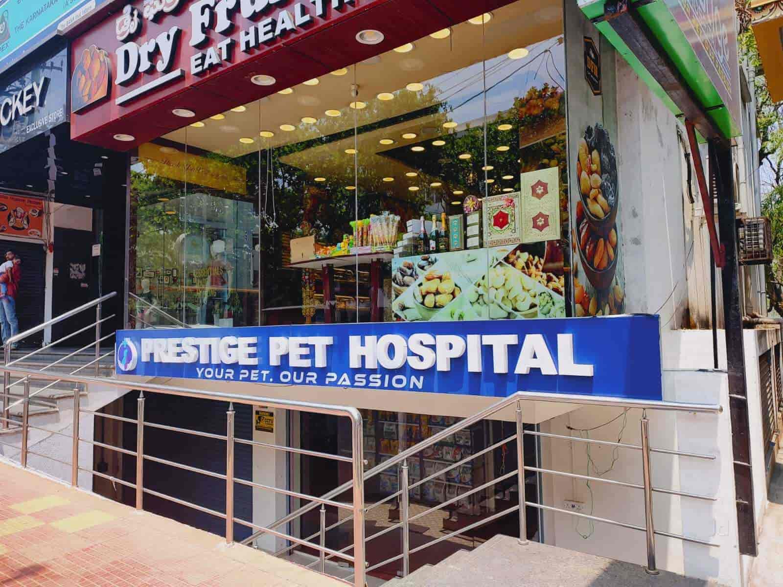dog veterinary hospital near me