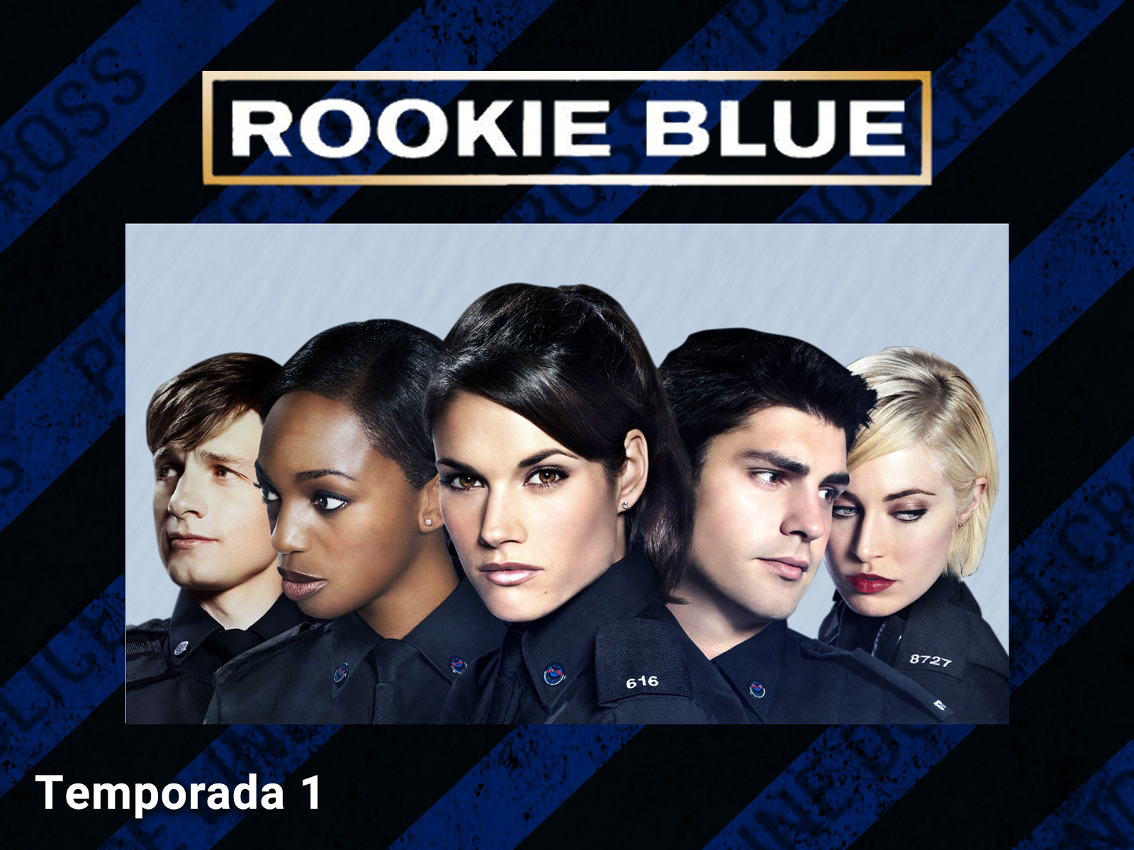 donde ver rookie blue