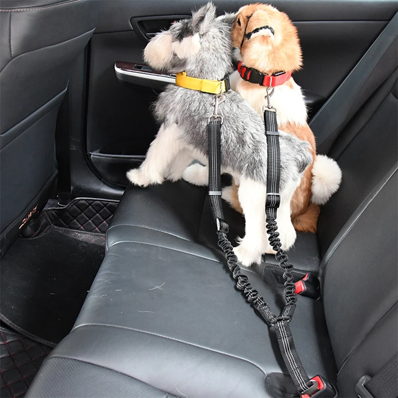 double dog seat belt