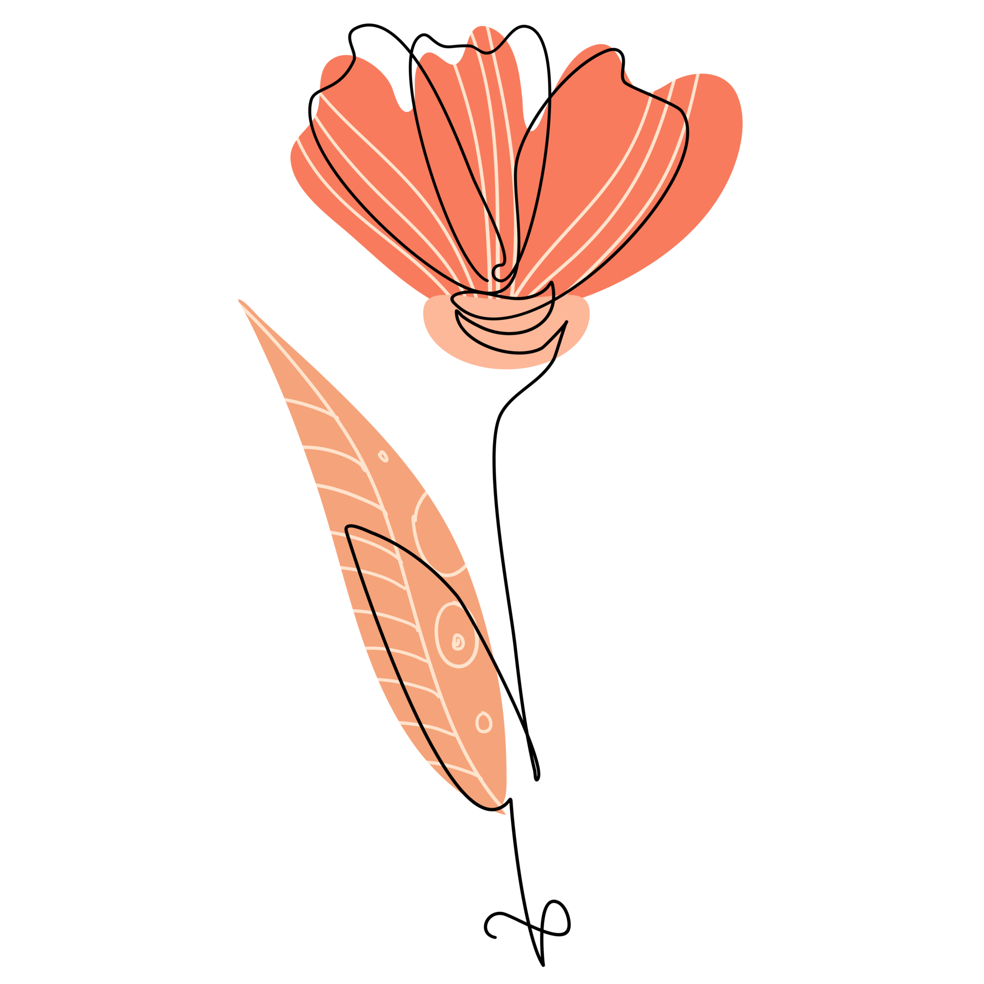 drawing flower png