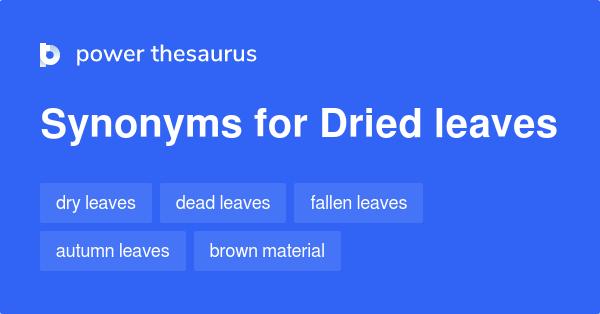 dry thesaurus