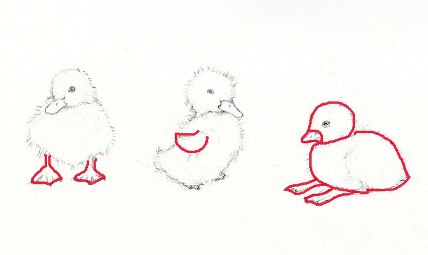 duckling drawing easy