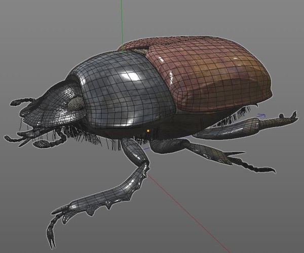 dung beetle 3d model