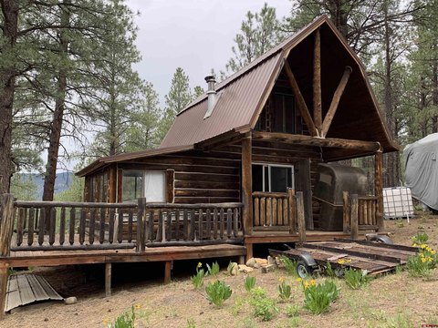 homes for sale pagosa springs co