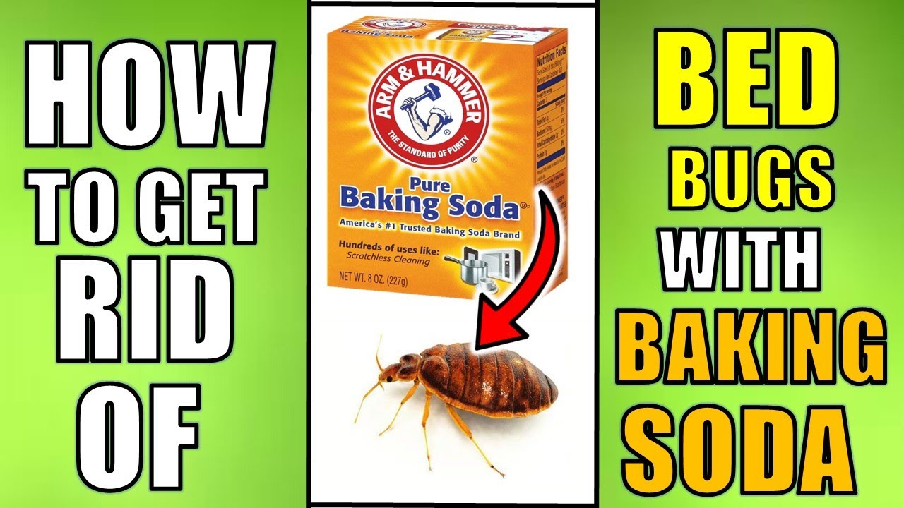 does baking soda kill bed bugs