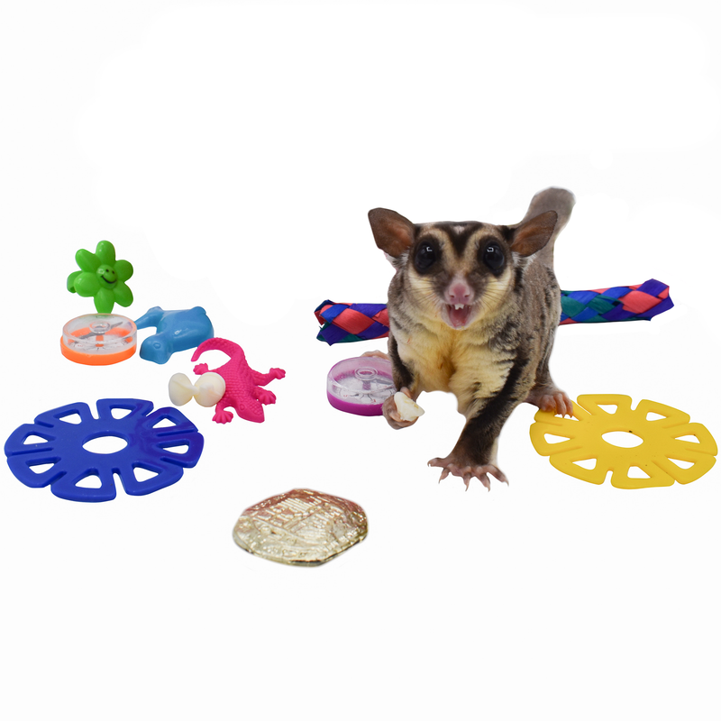 sugar glider toys