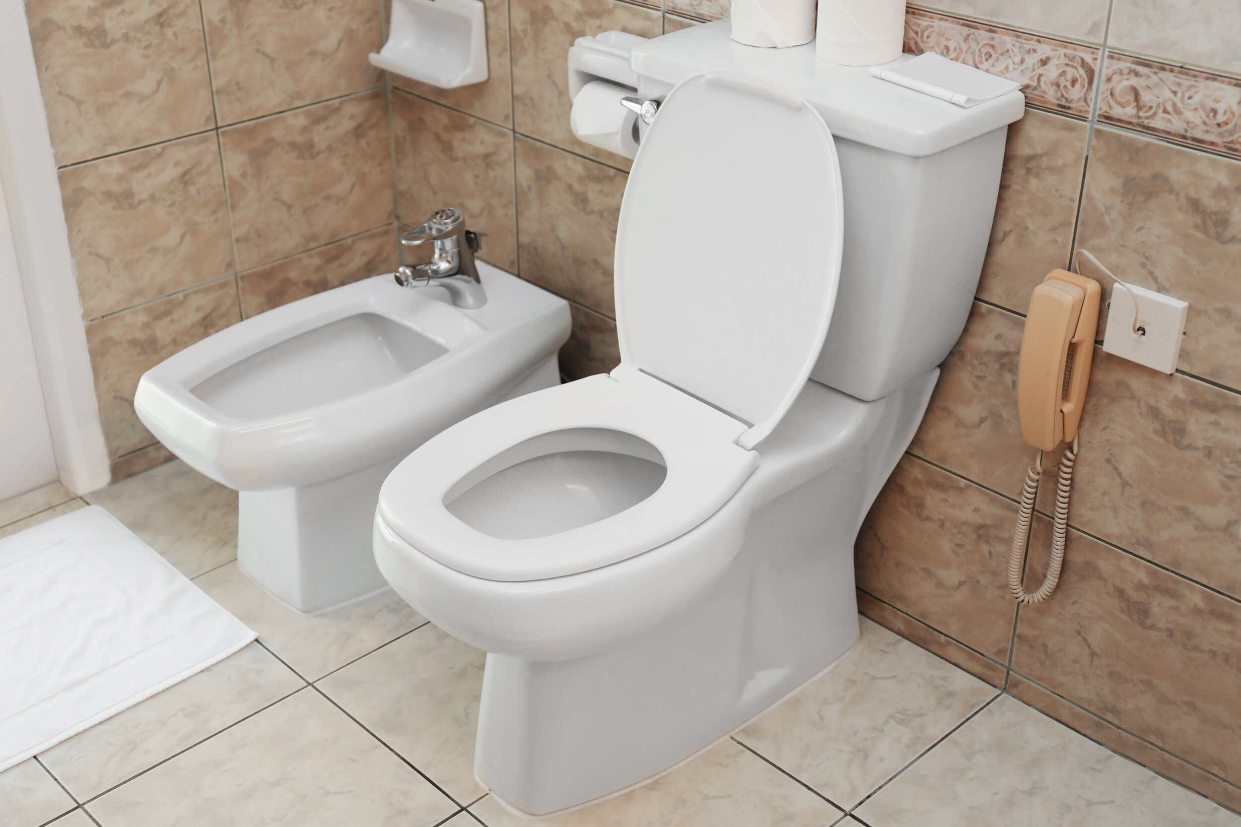 bidet and toilet combo