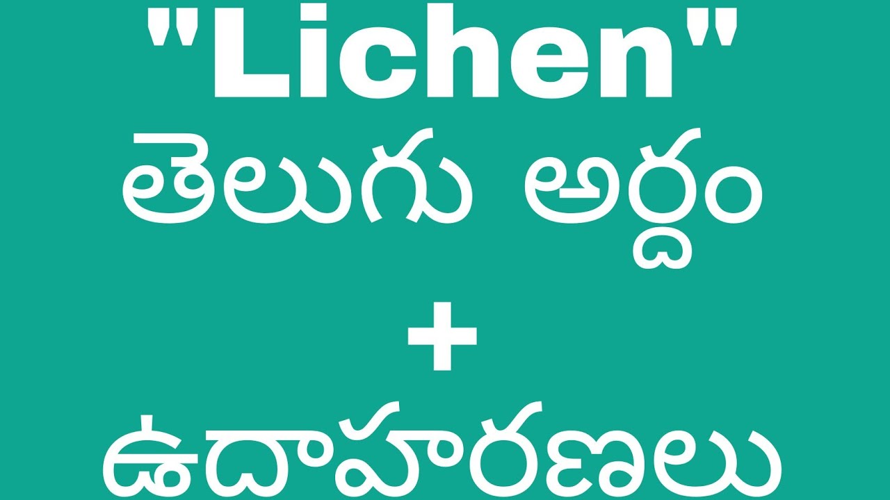 lichen in telugu