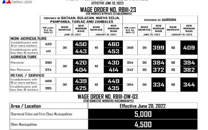 laguna minimum wage 2022