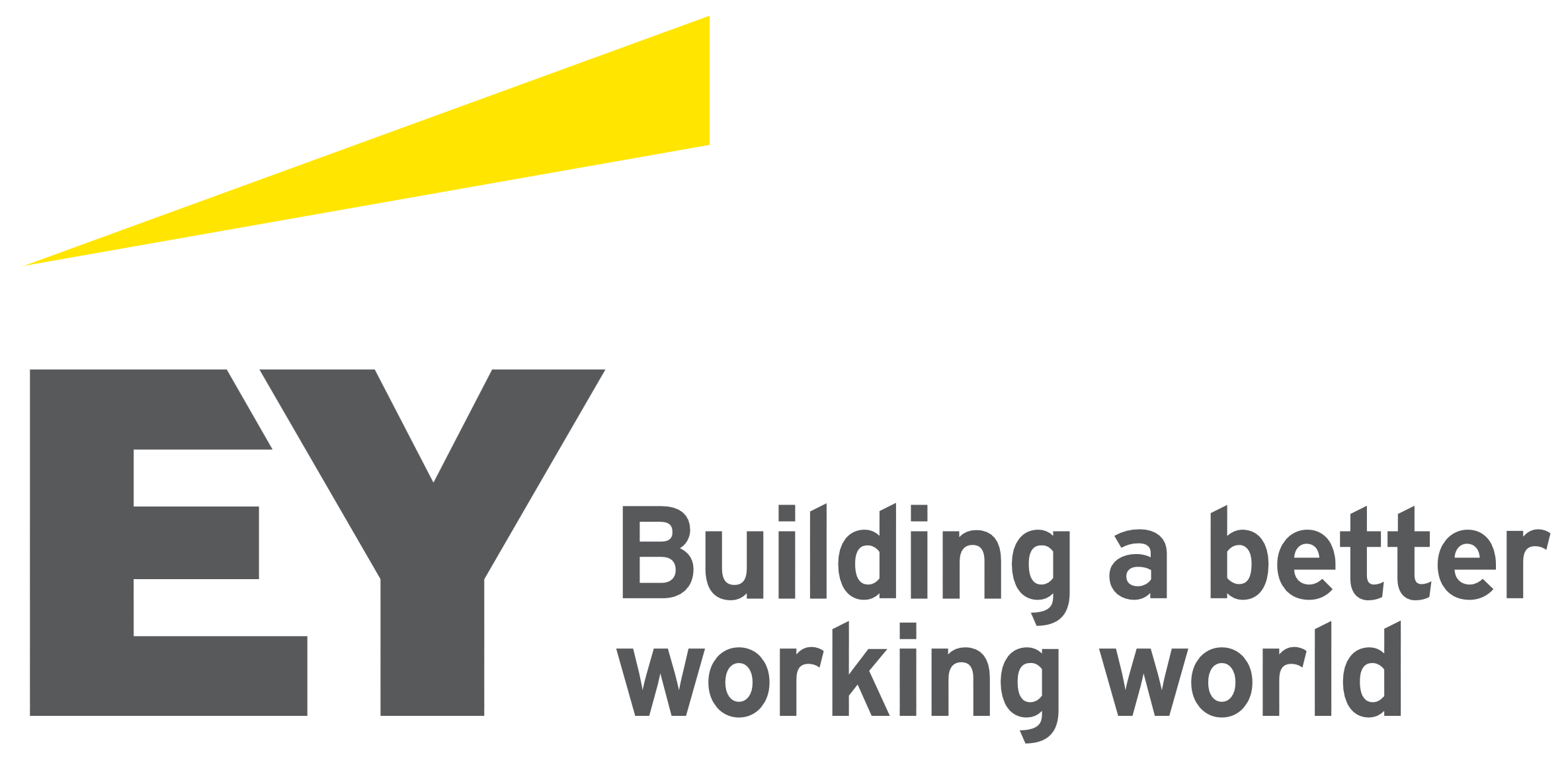 ernst and young global limited