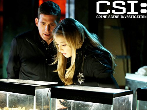 crime scene investigation tv series