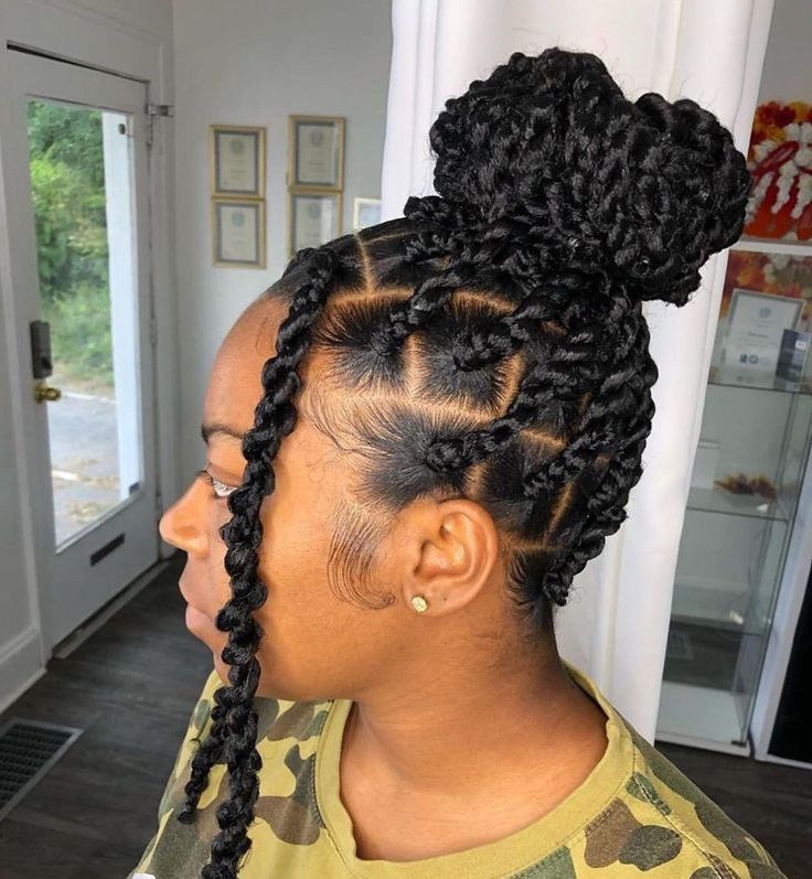 afro hair styles braids