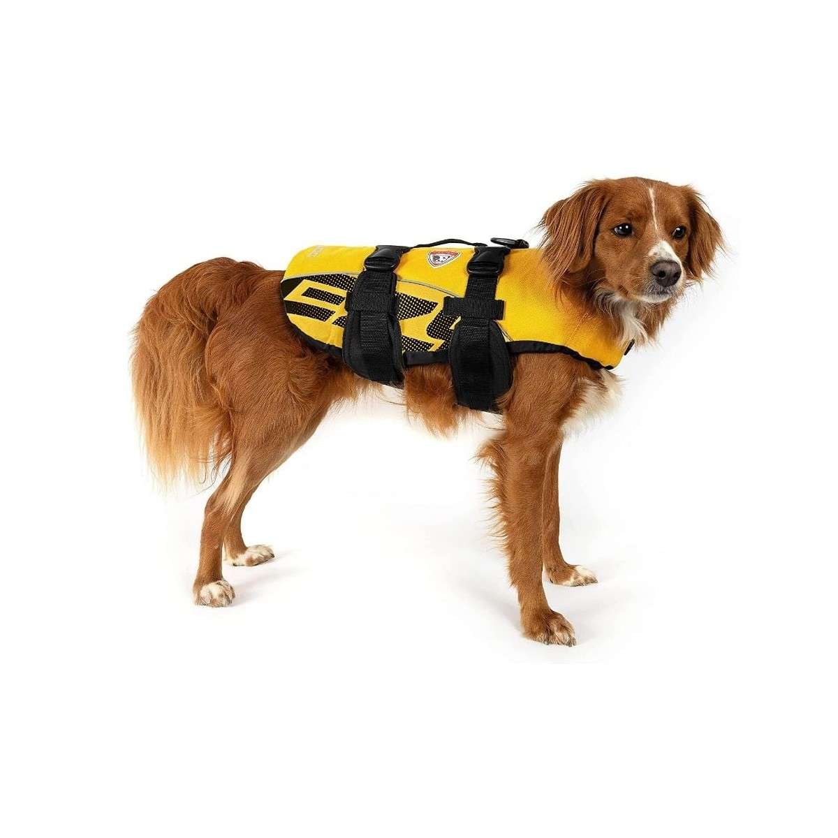 ezydog lifejacket