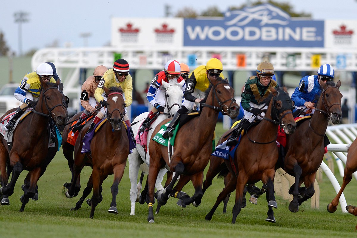 woodbine racetrack results for today