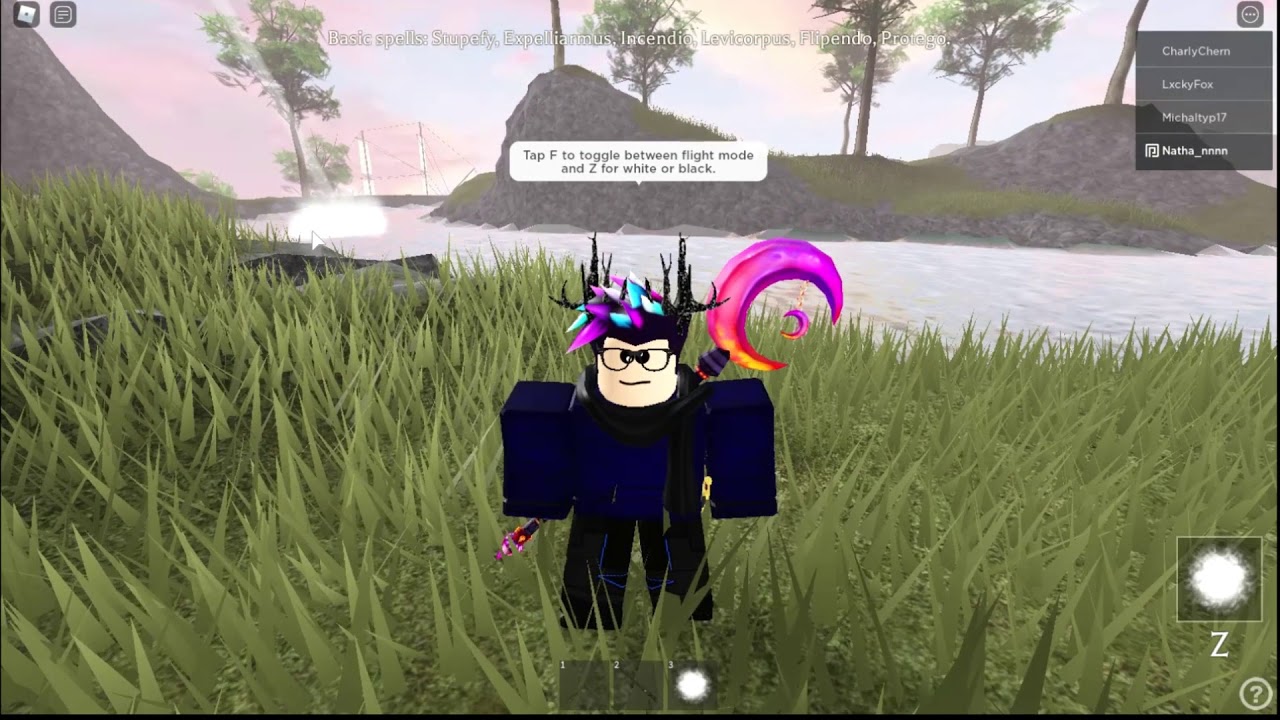 magic training roblox how to fly