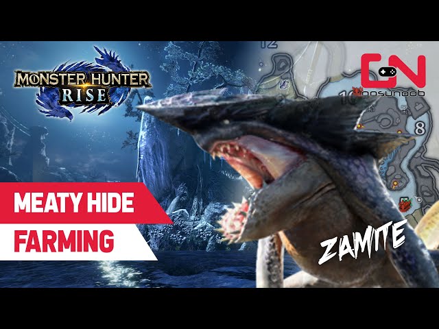 meaty hide+ monster hunter rise