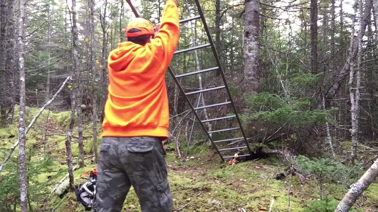 setting up a ladder stand