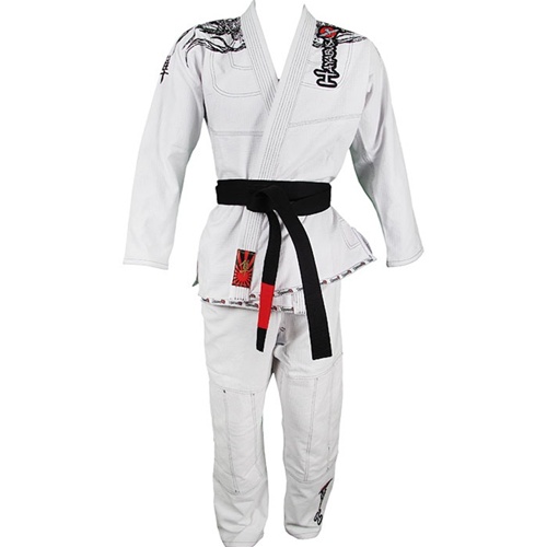 hayabusa gi