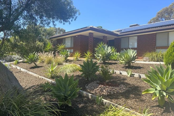 houses for rent tea tree gully