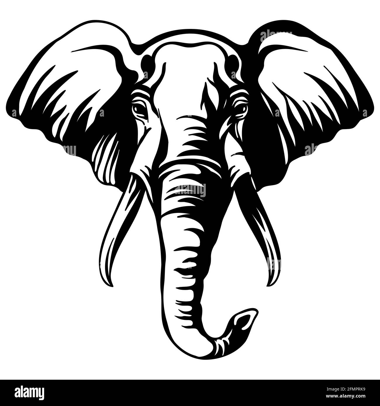 elephant vector image