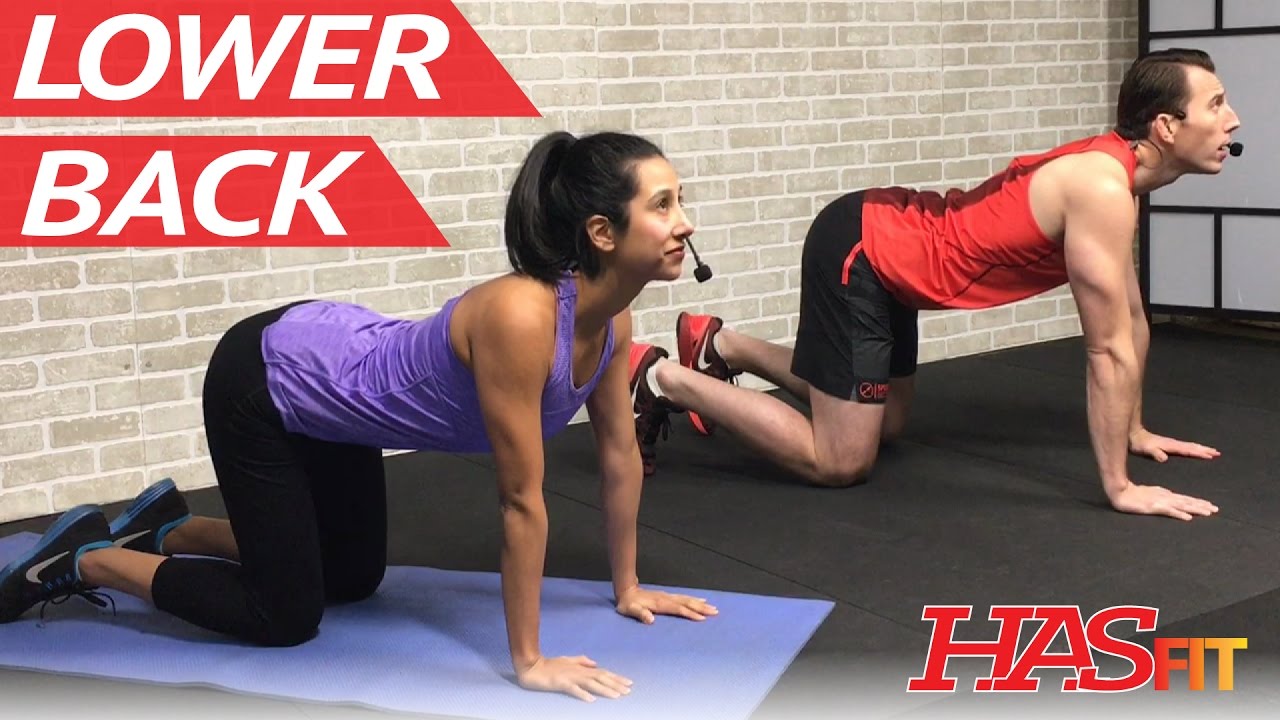 exercises for lower back pain youtube