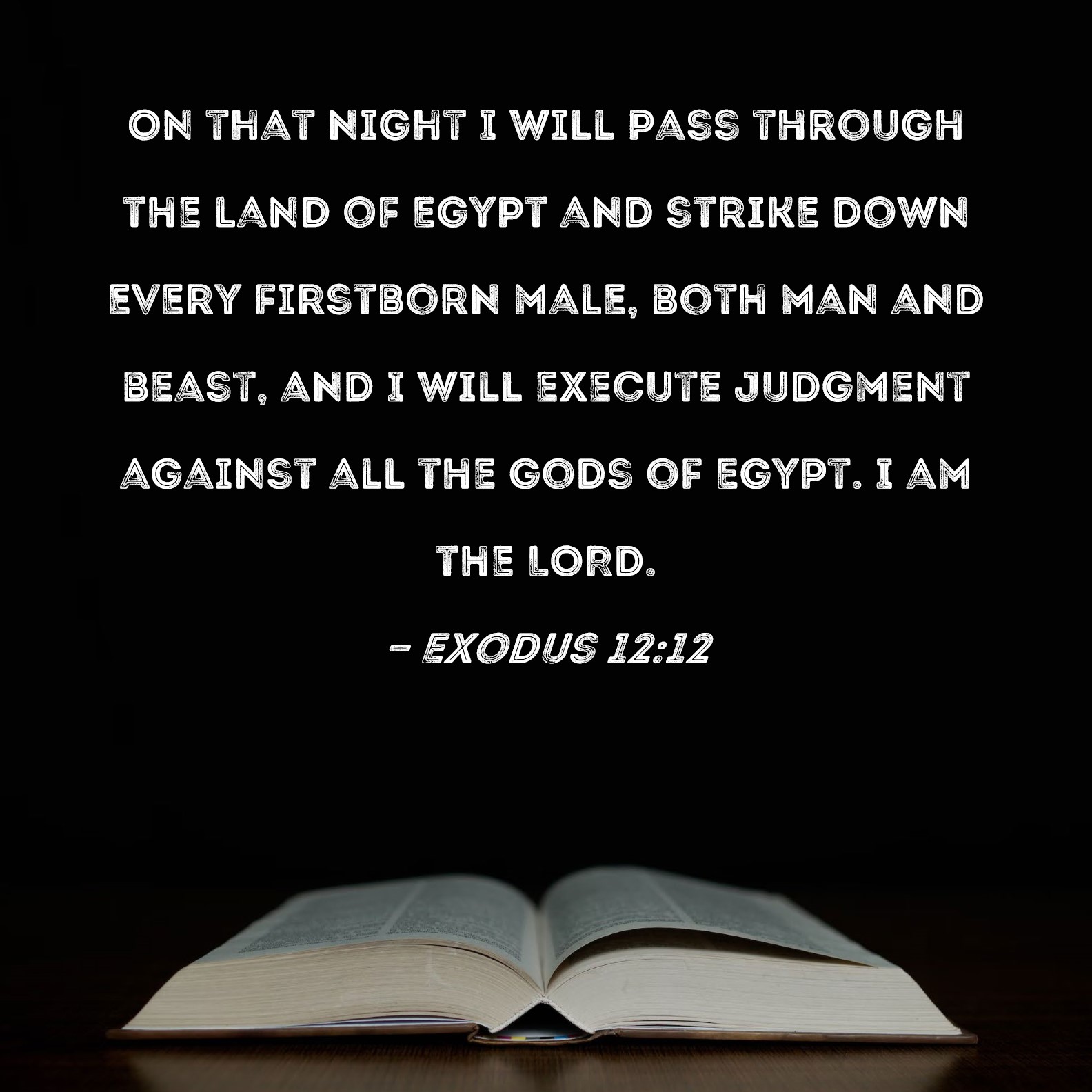 exodus 12 esv