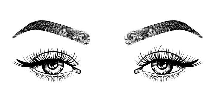 eyes and eyebrows clipart