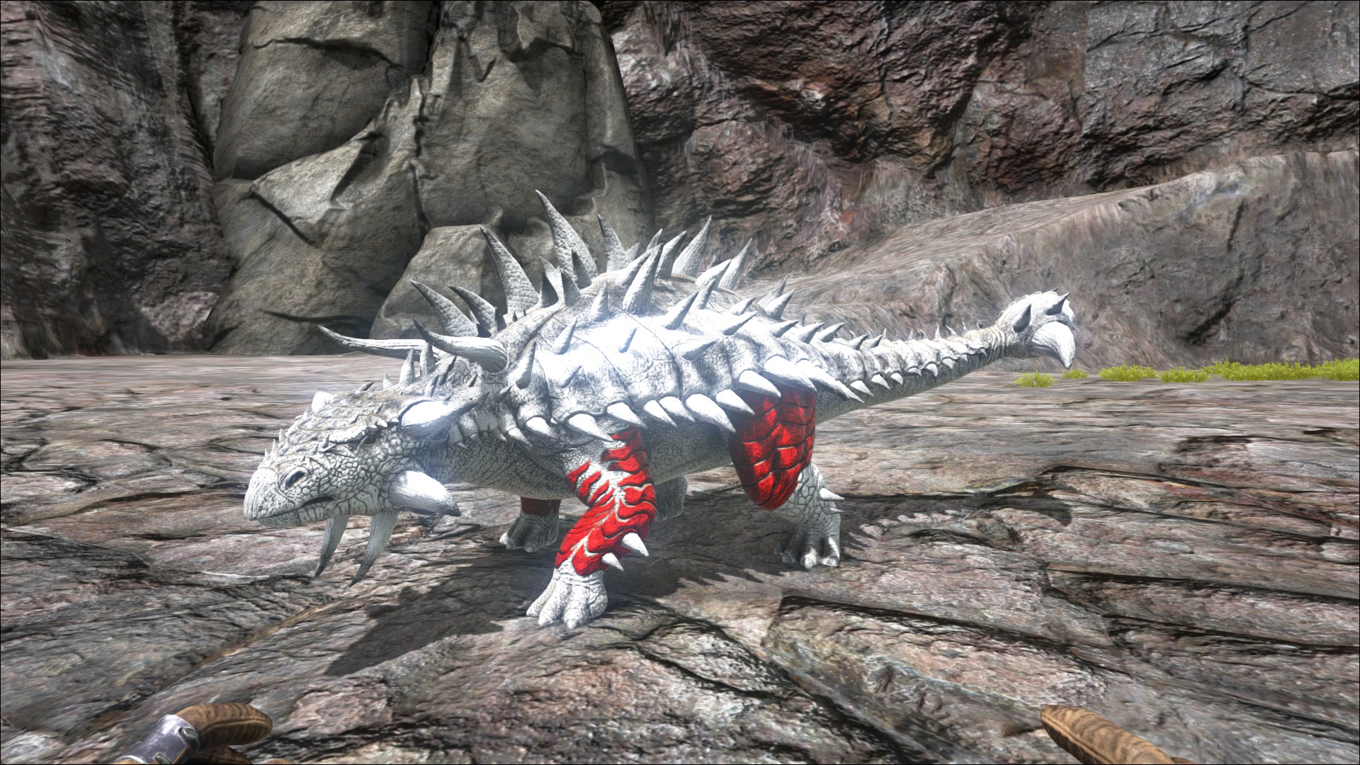 ark survival evolved ankylosaurus