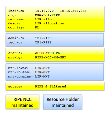 ripe net database