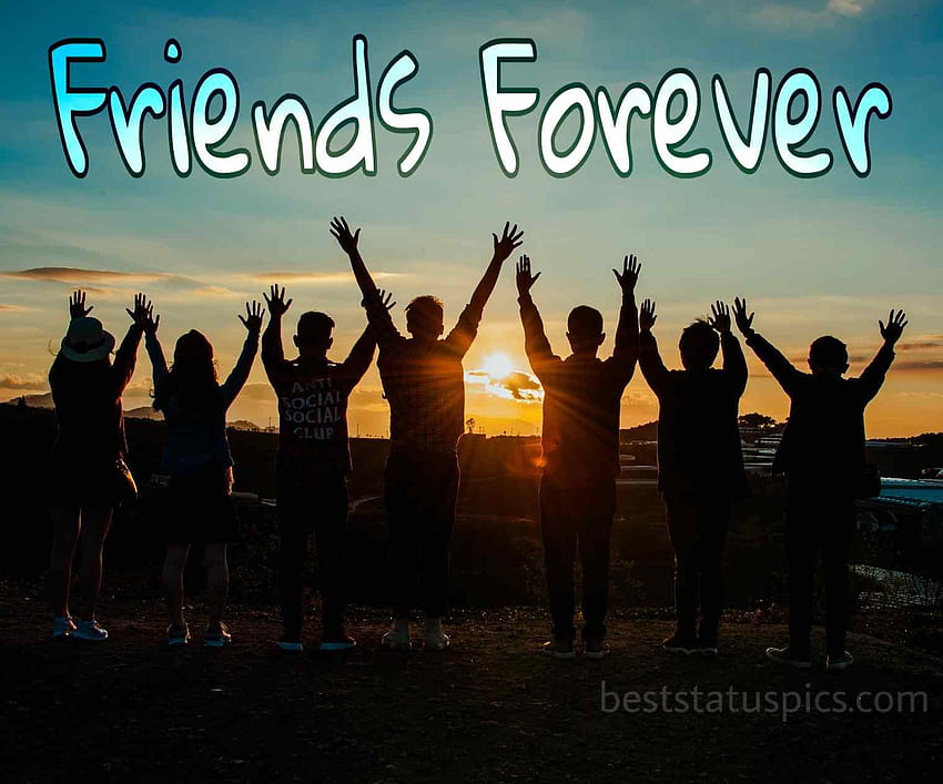 dp friends forever