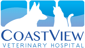 coastview veterinary hospital