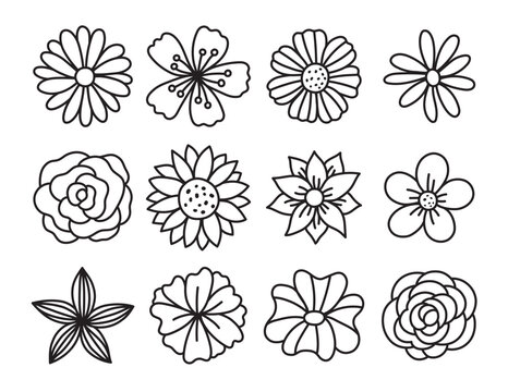 pictures of flowers drawing