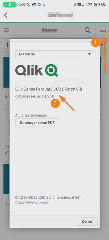 qlik browser