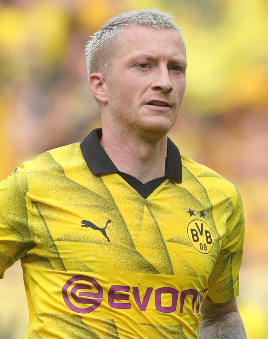 reus wiki