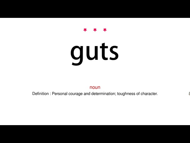 guts definition