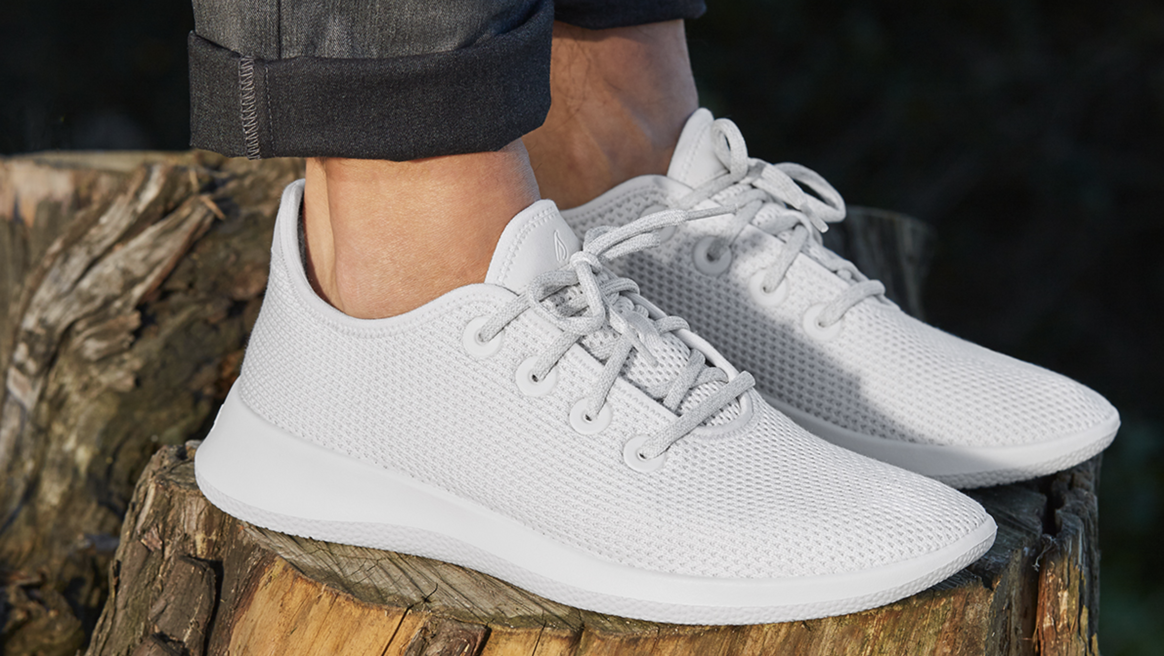 allbirds returns