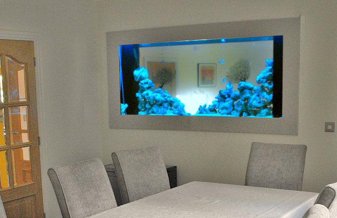 wall fish aquarium