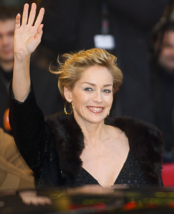 sharon stone wiki