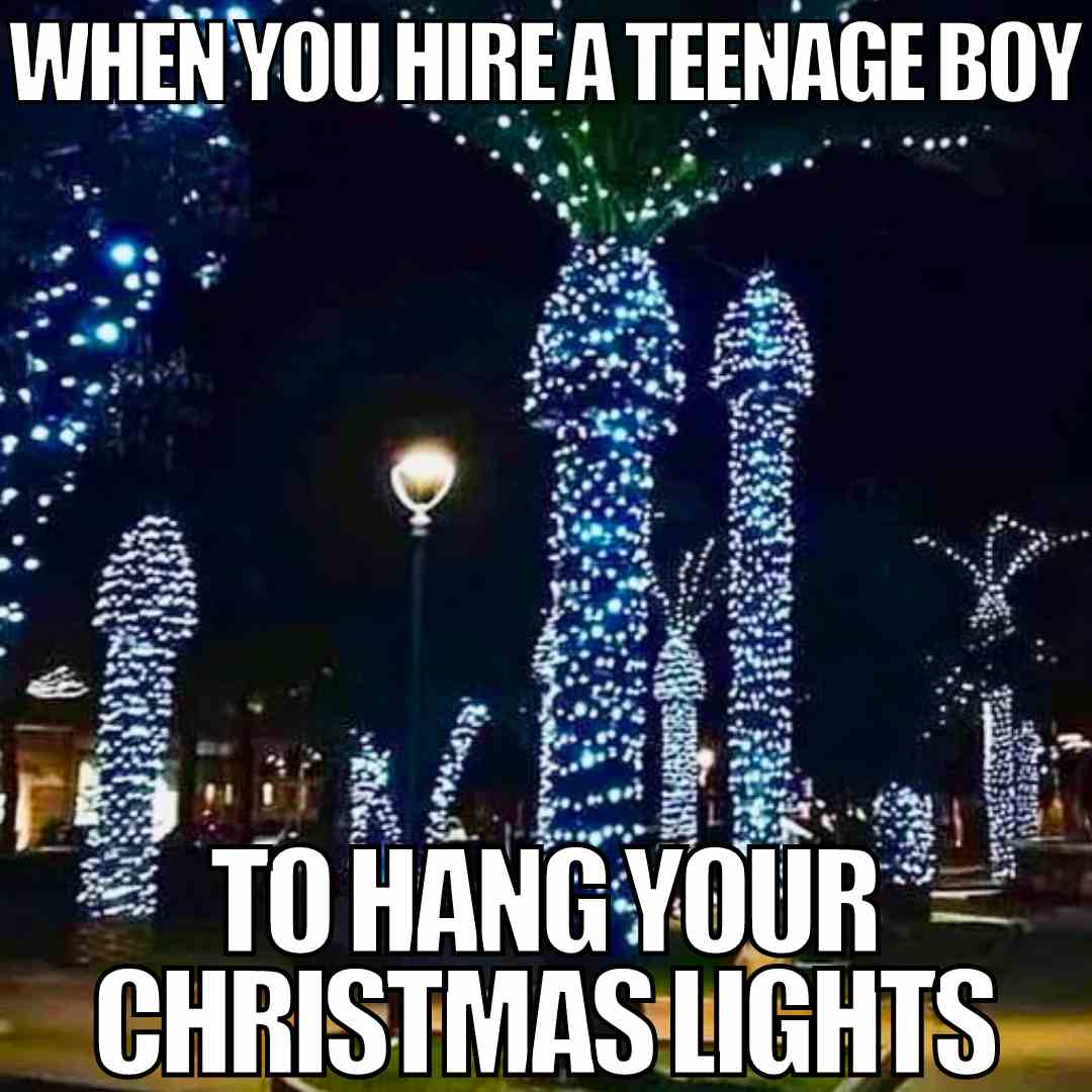 fairy lights meme