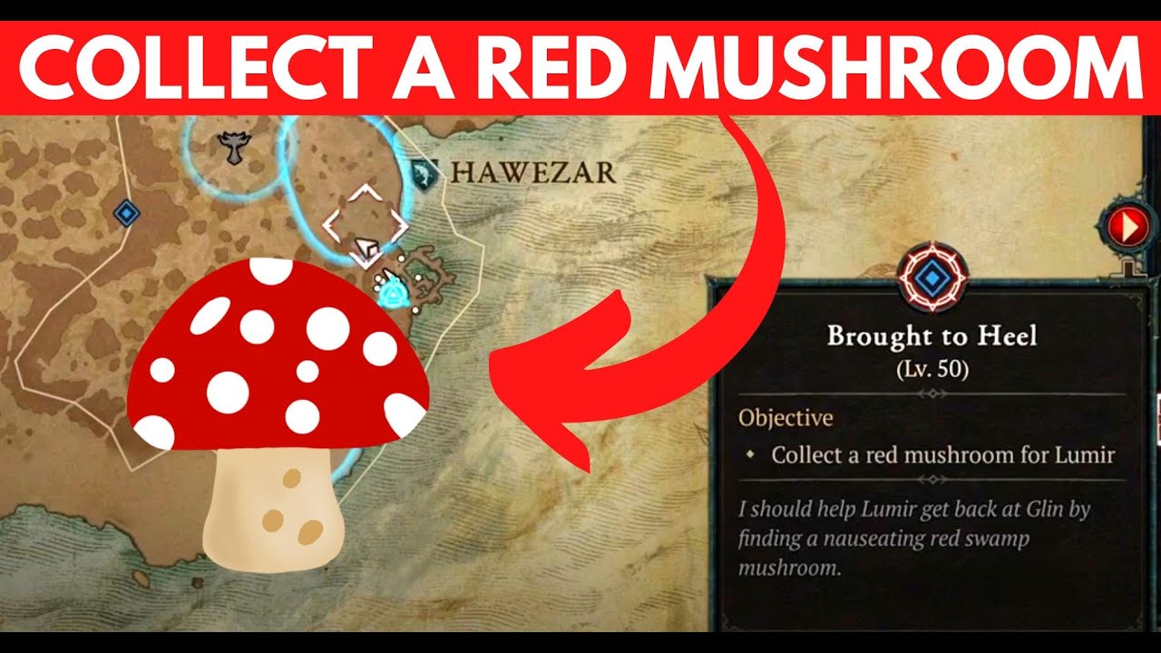 collect a red mushroom for lumir