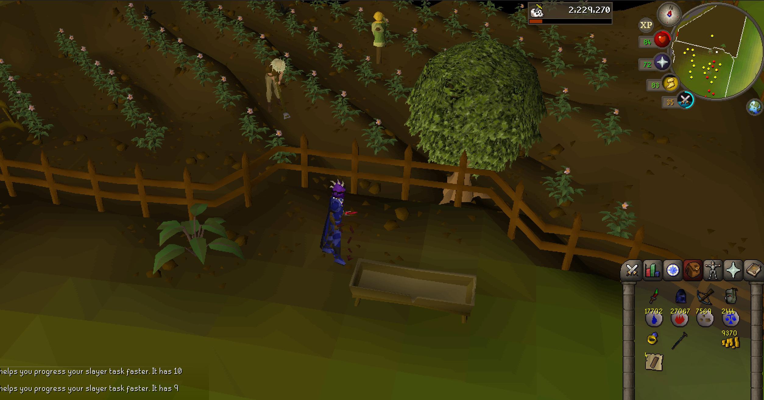 potato tree osrs