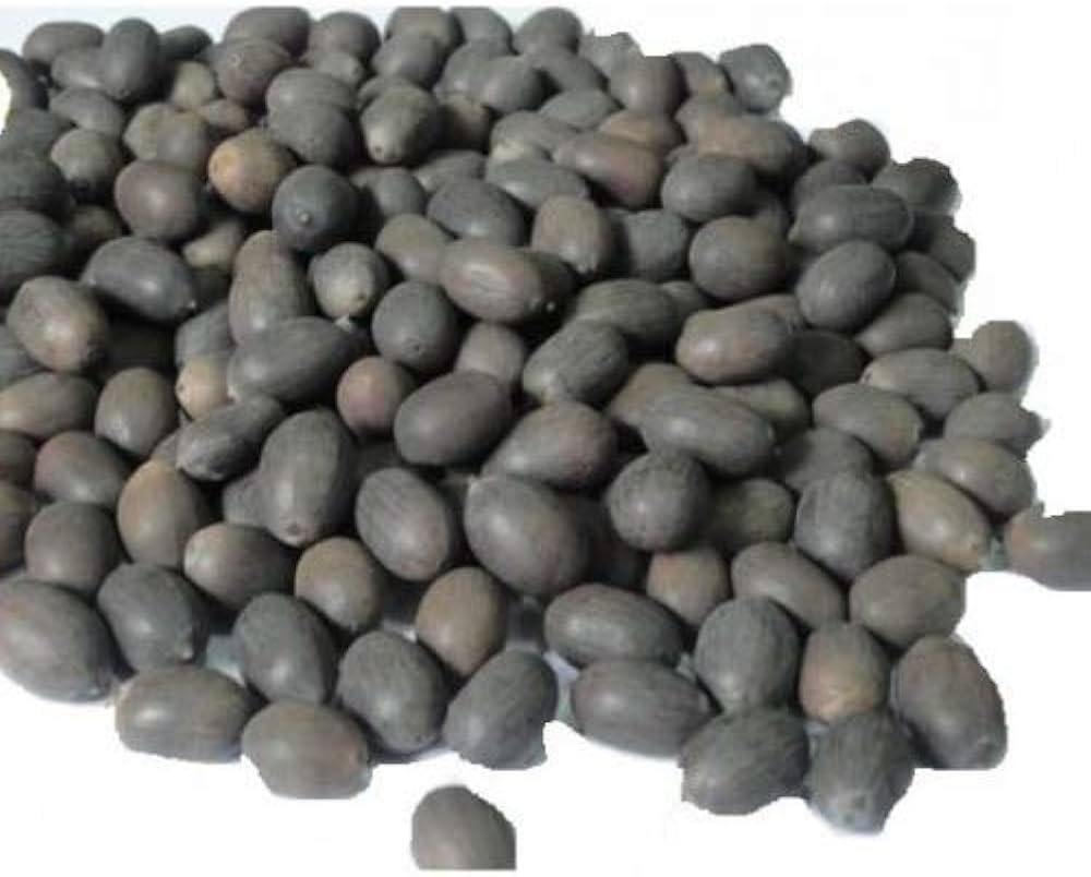 kamal kakdi seeds