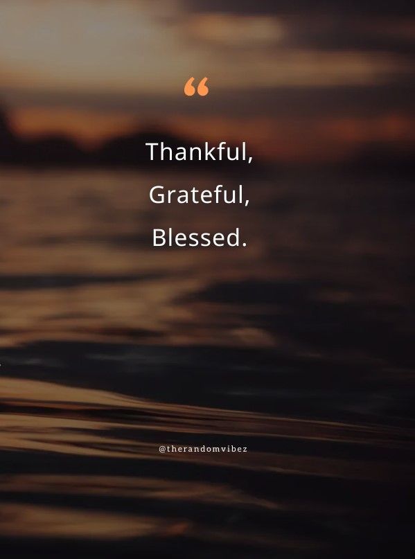 feeling blessed quotes